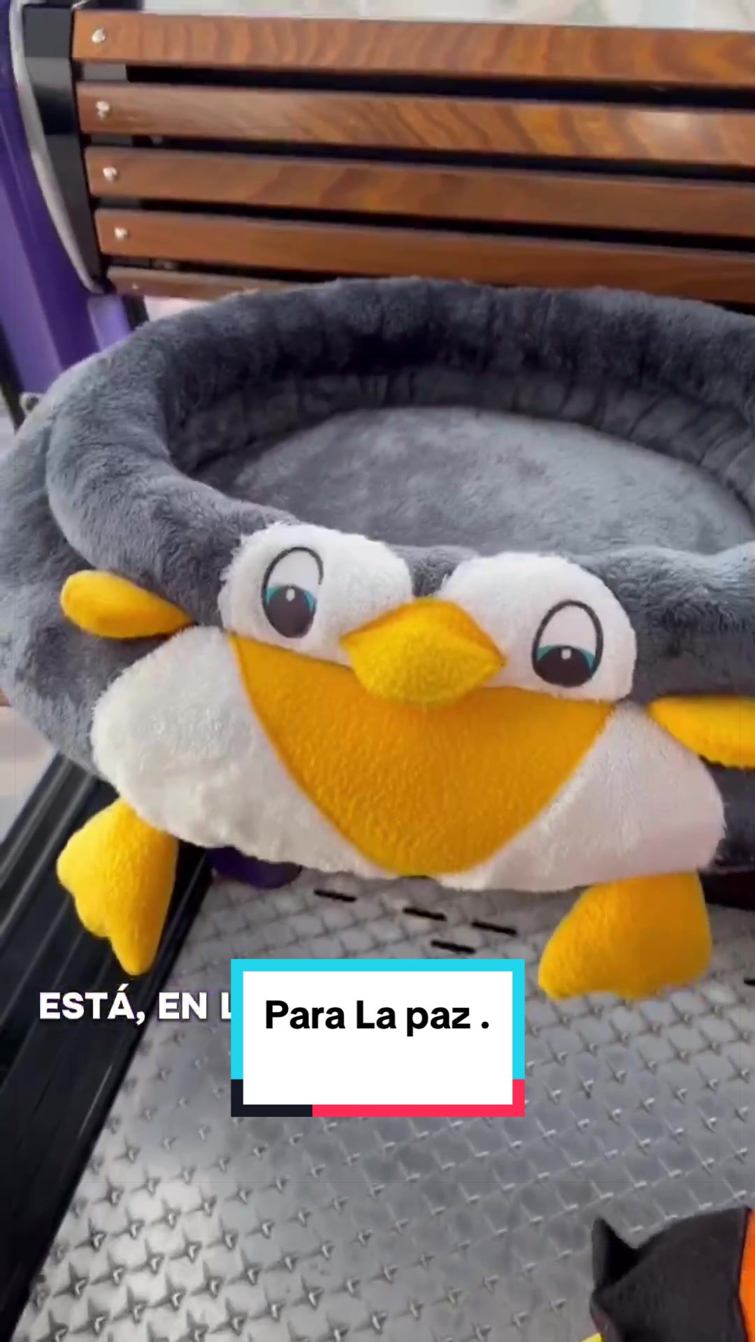 @Minxgia Pets