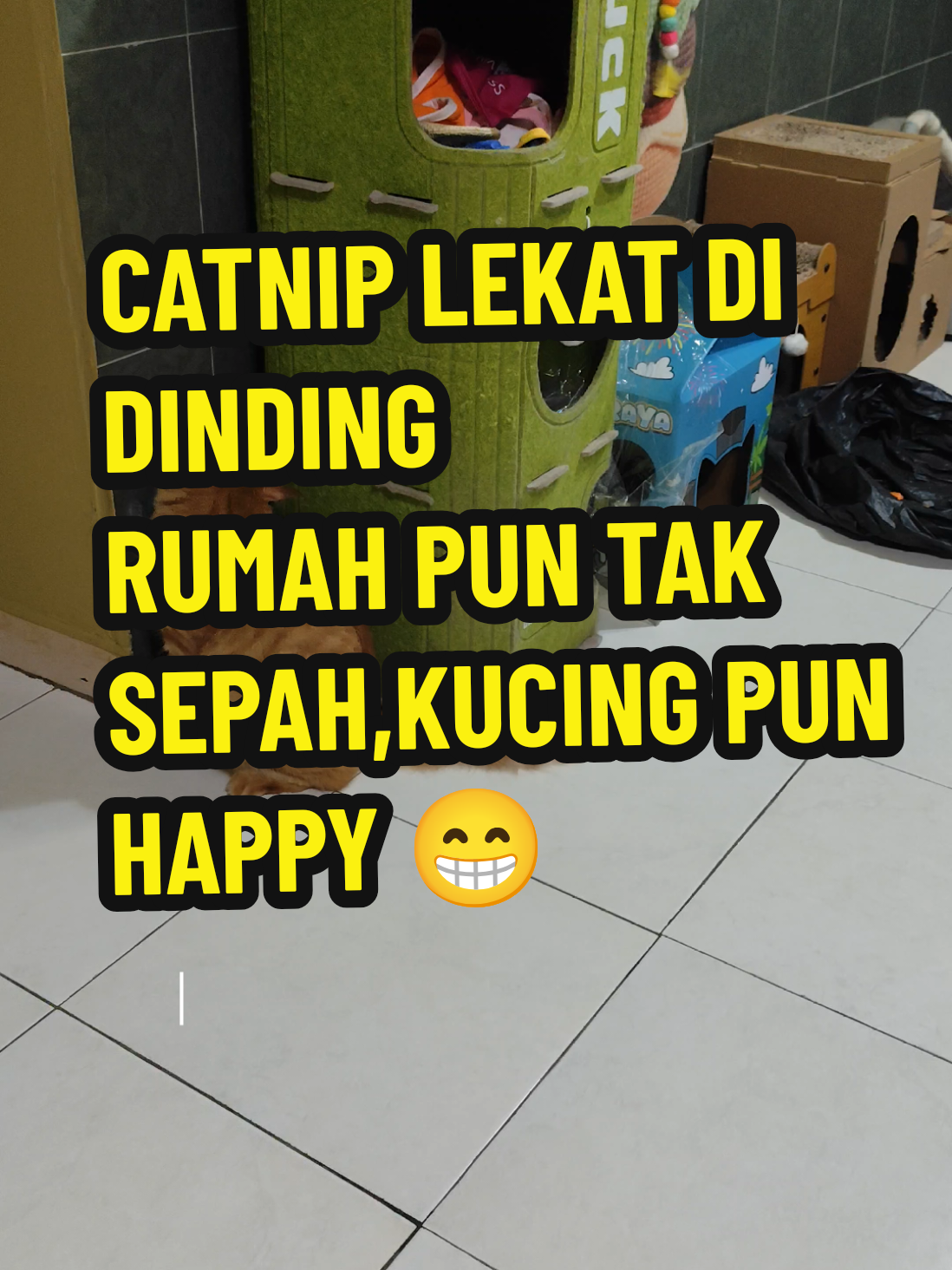 @Omma Kucing 🇲🇾🍉