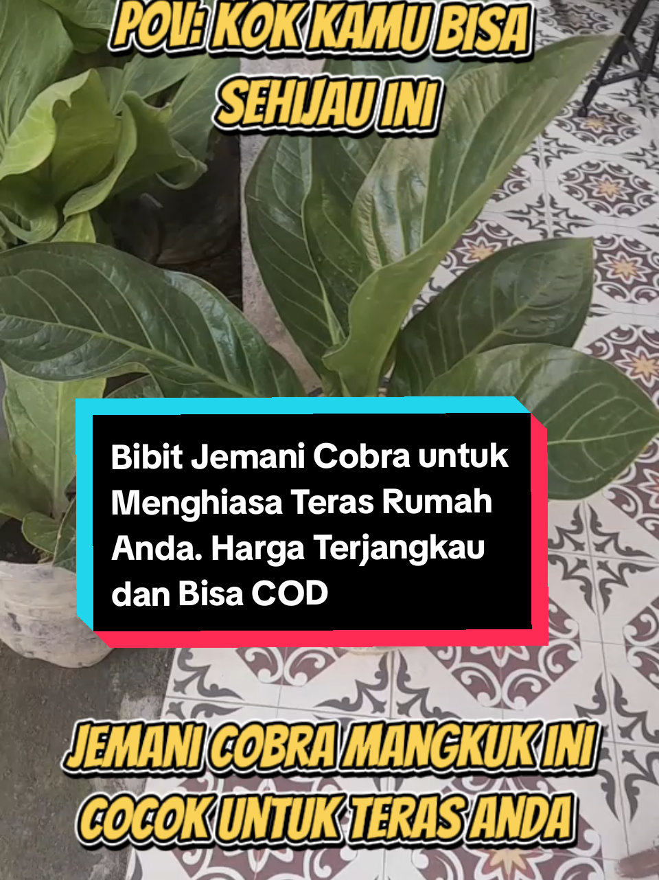 @ARI RADJA CHANNEL
