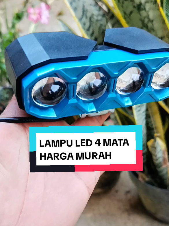 @yunfa lovers