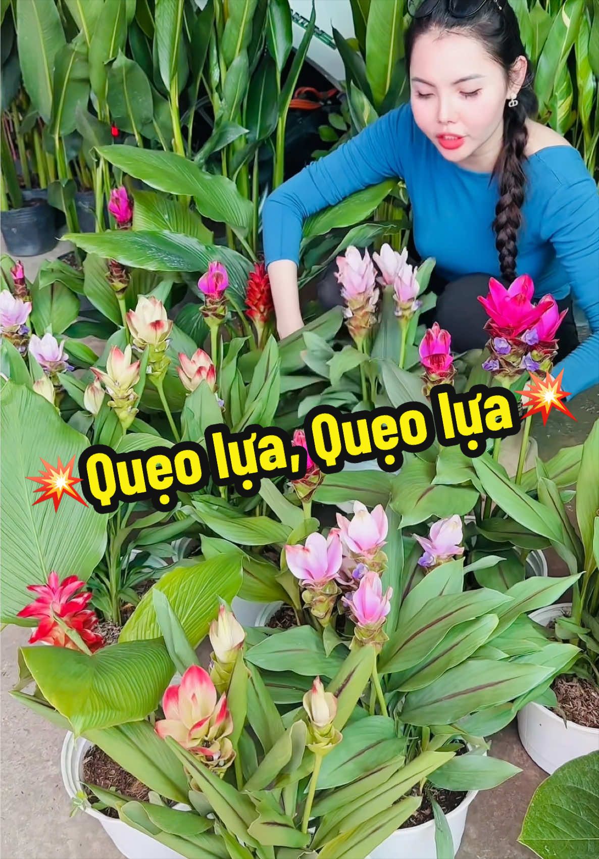 @Tiệm L&aacute; Nhỏ