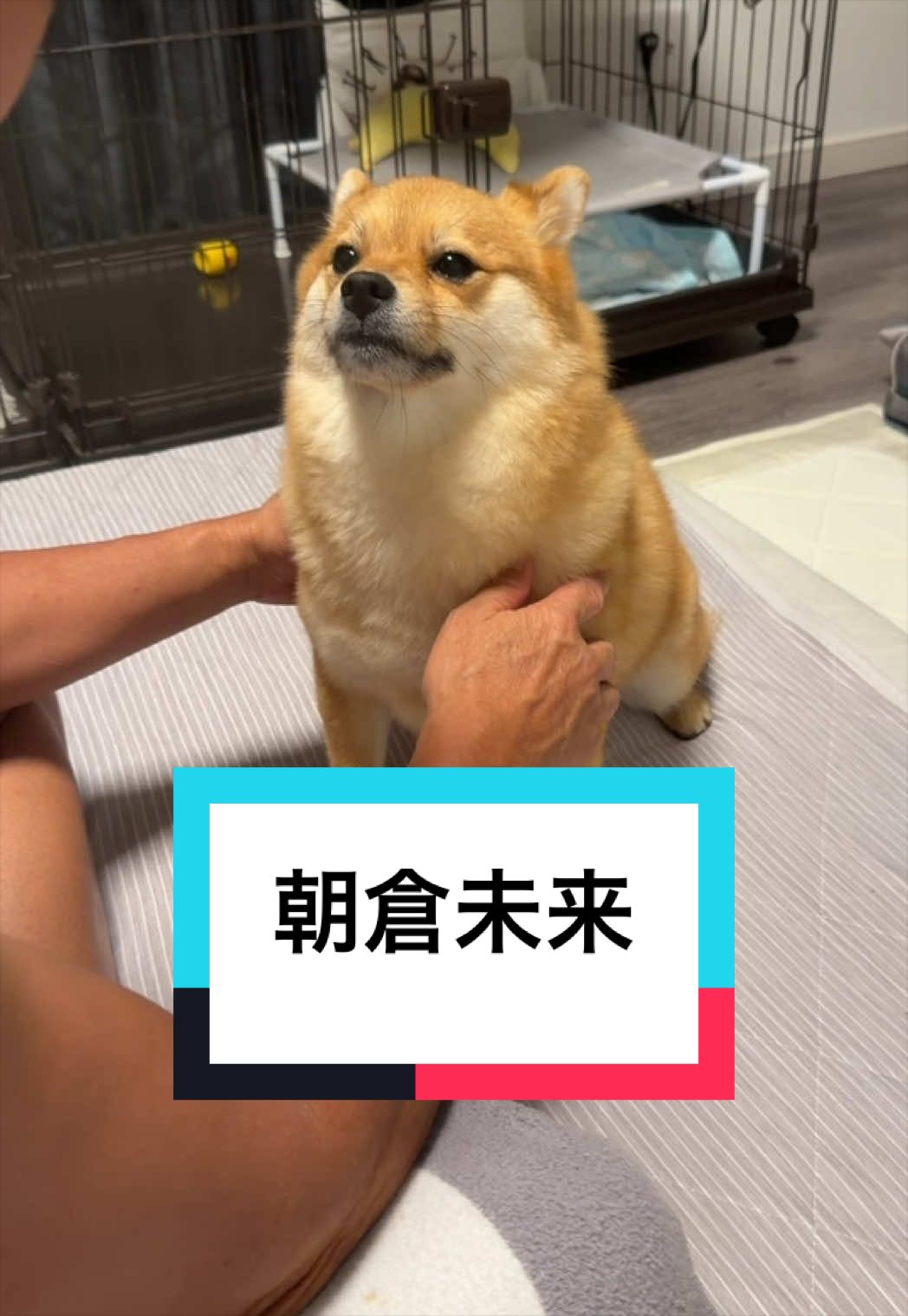 @9/28🎂おじ生誕祭🐶とん&ぺっぺこぺー🦊