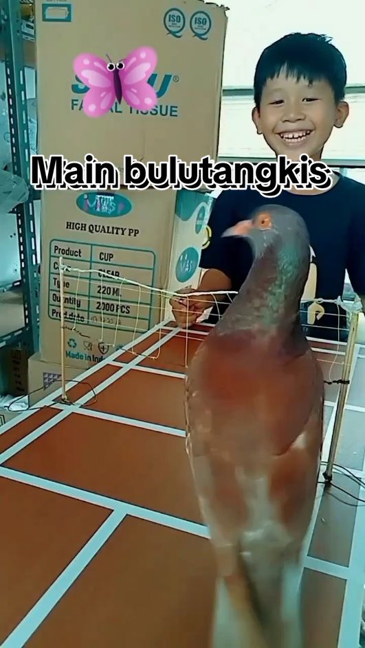 @Jose & putra si burung nakal