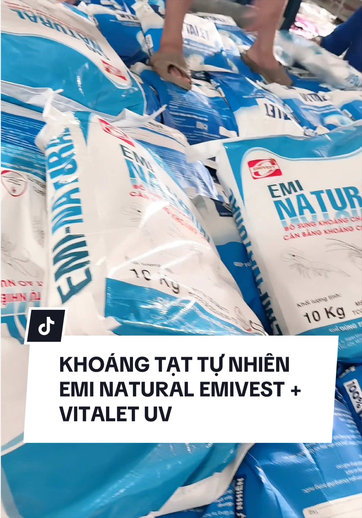@Vật Tư Thuỷ Sản Thành Lẹ