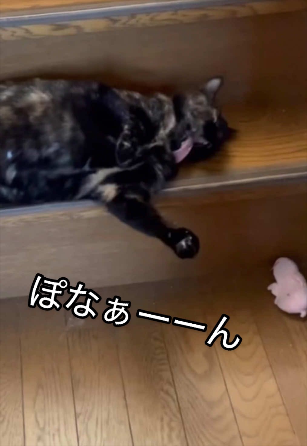 @聴々物語PROJECT