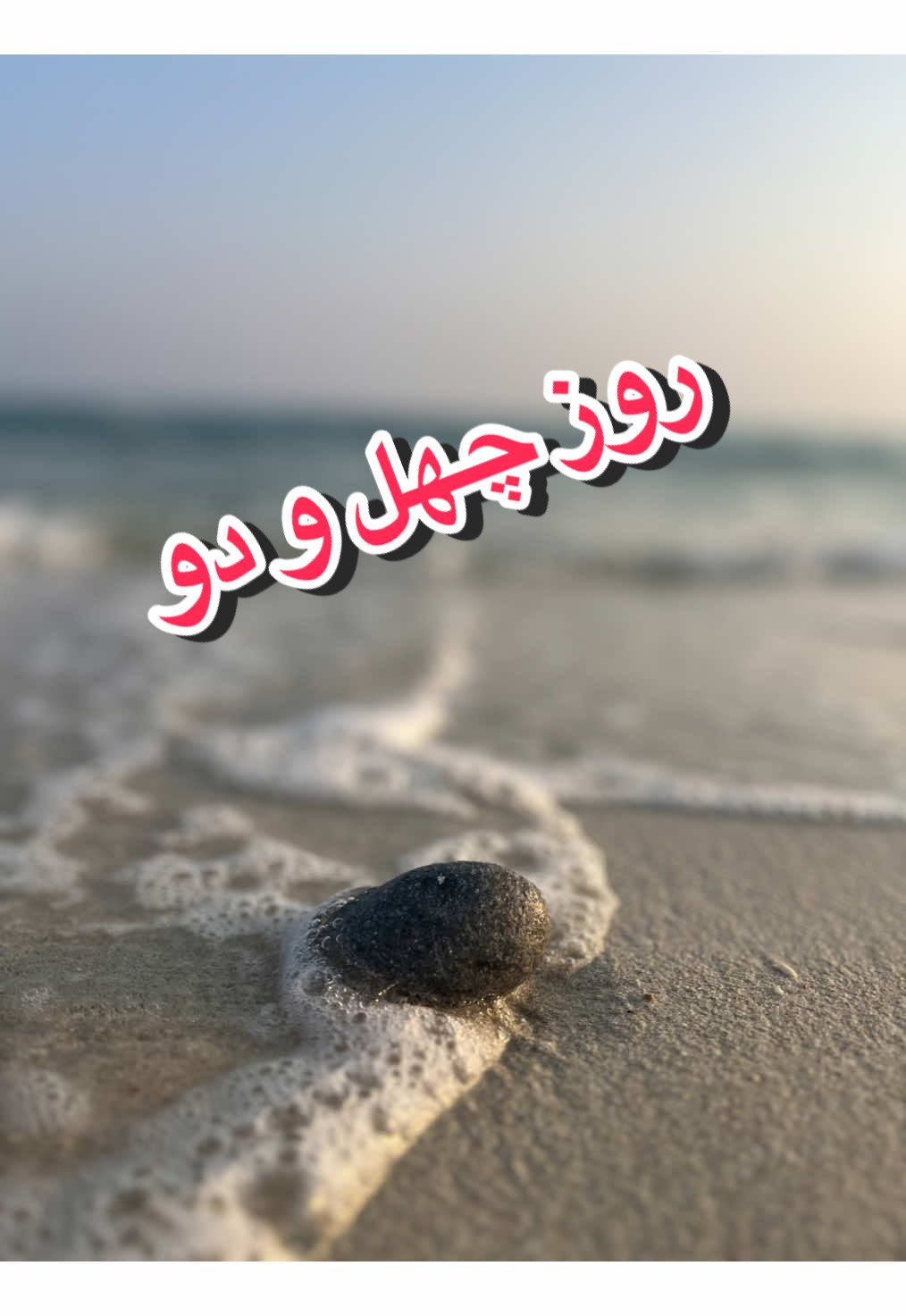 @قلی | یه حیوون خونگی متفاوت