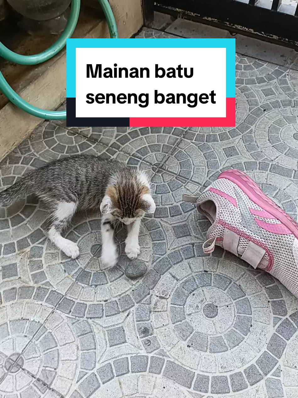 @Fend