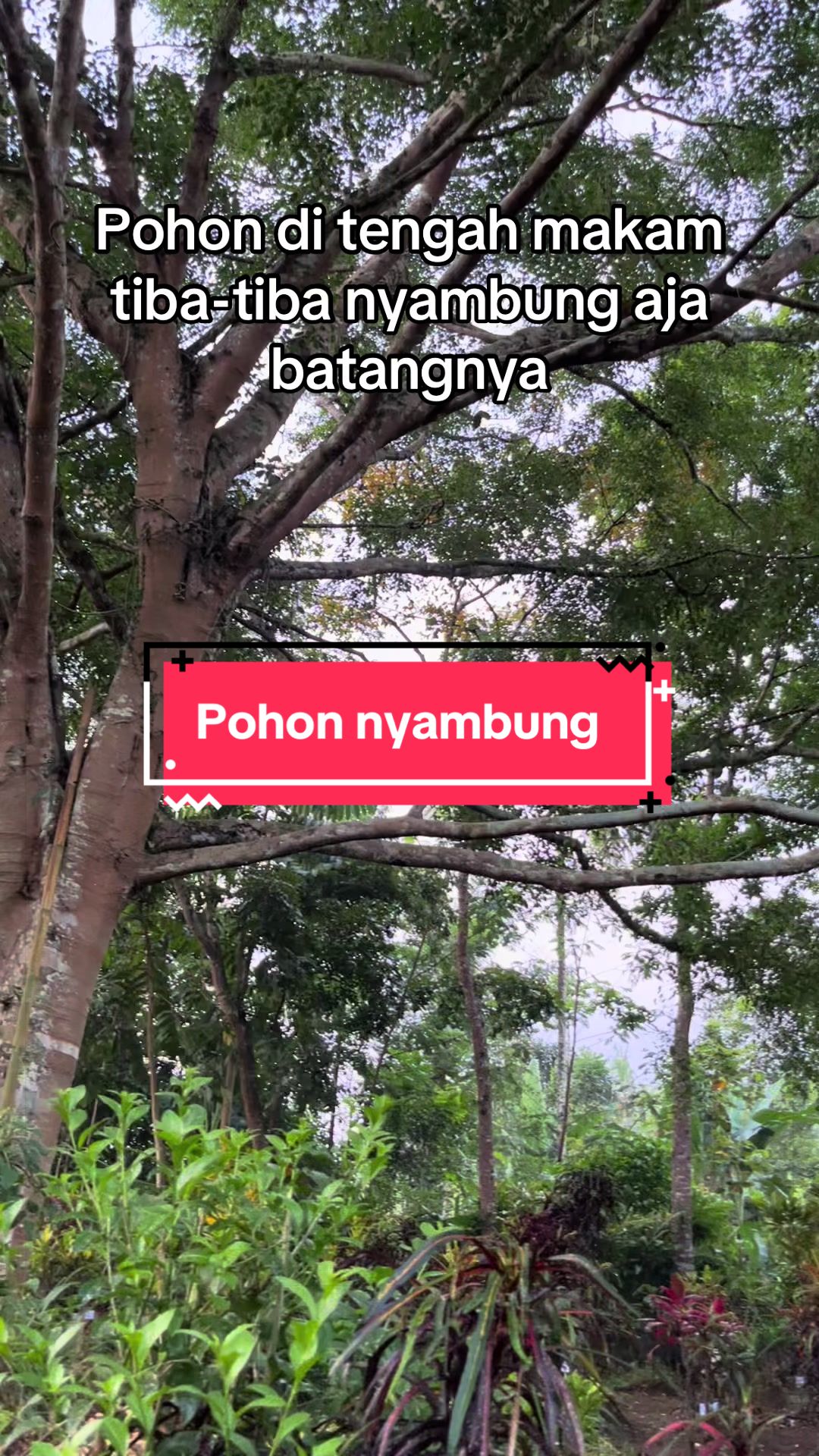 @Aris Margo Susanto