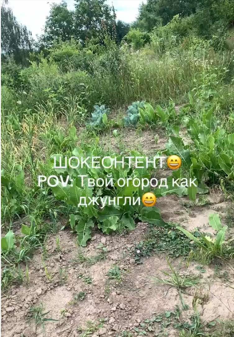 @Oksana