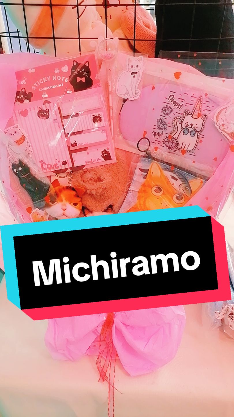 @michitiendachile