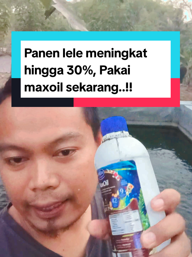 @Kang_Ewi