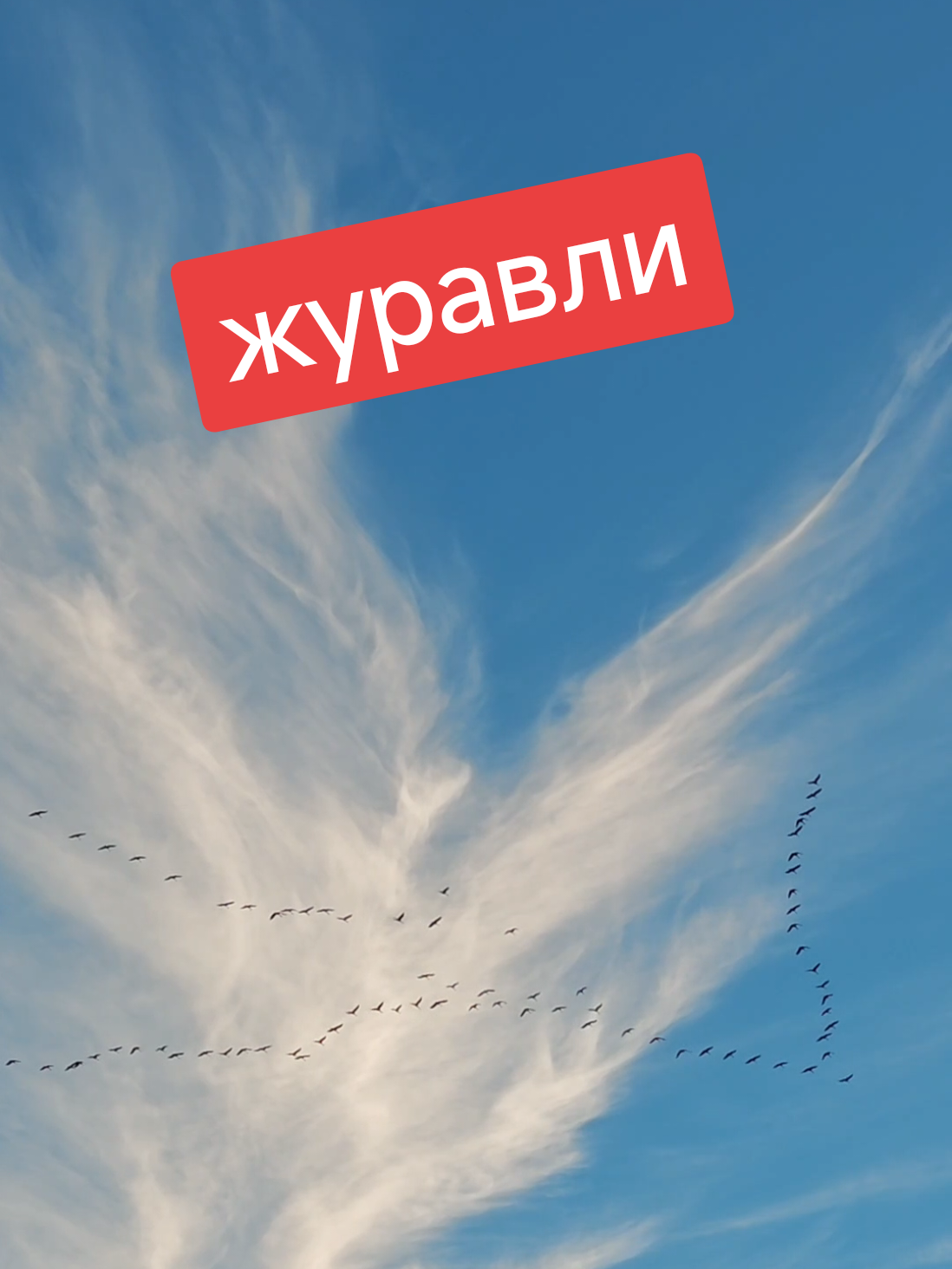 @📌priest Дионисий📌
