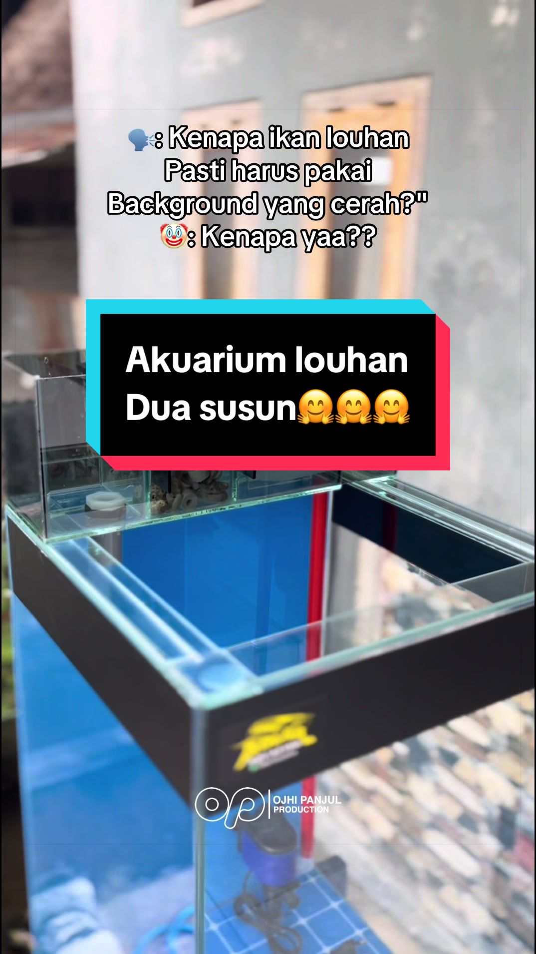 @Panjul Aquafish