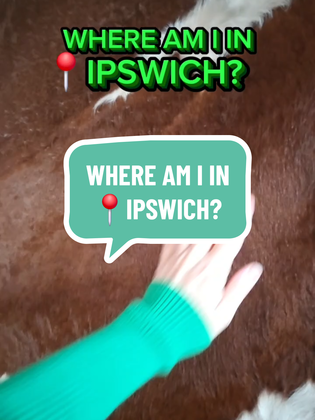 @Things to do in Ipswich 🇦🇺