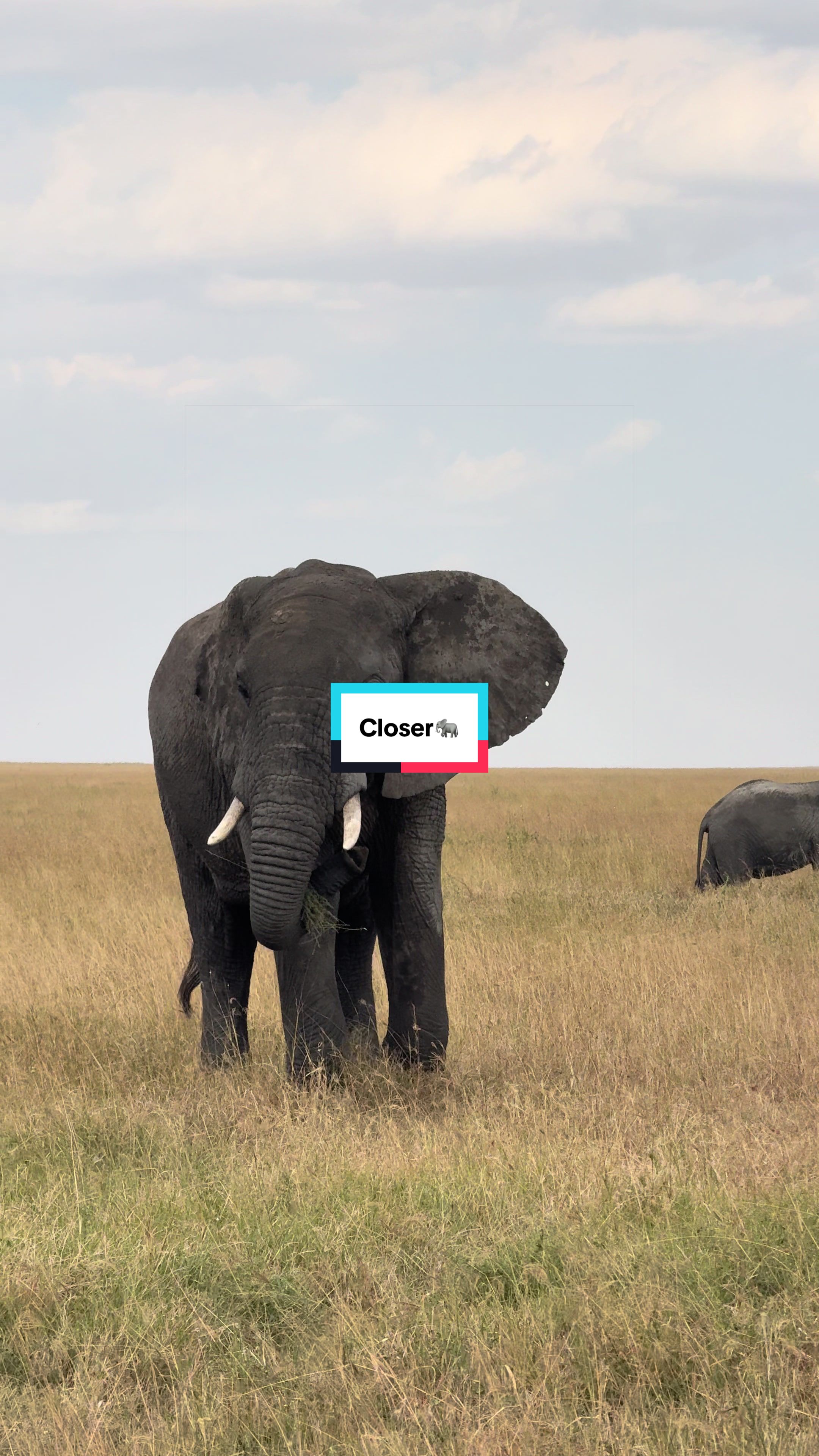@Milana Tours and Safaris
