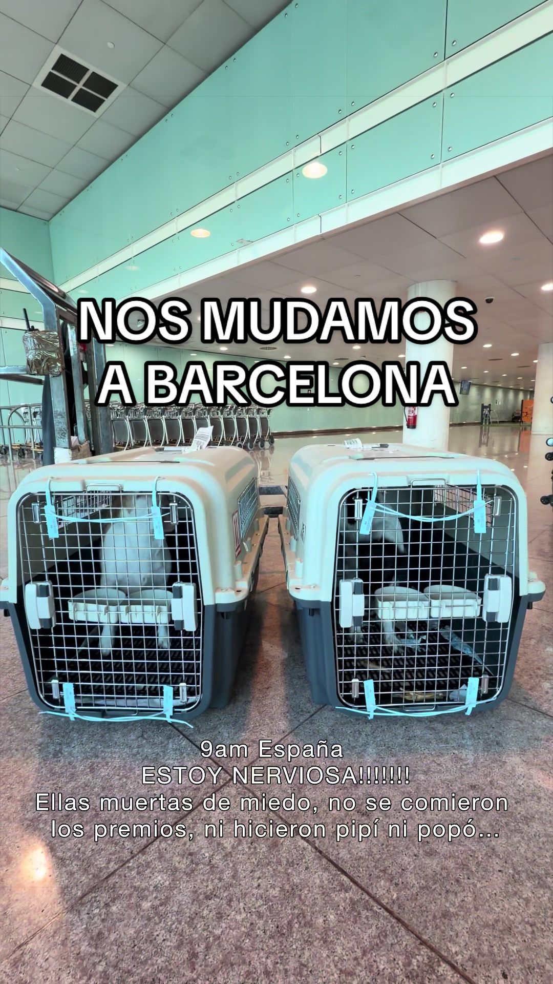 @Cristina Ballesteros
