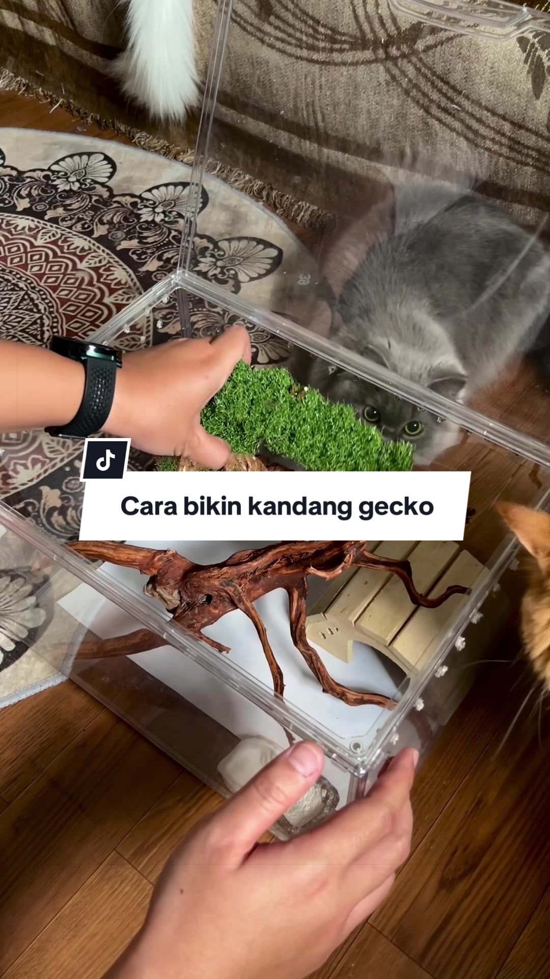 @FAIZ FAZLI