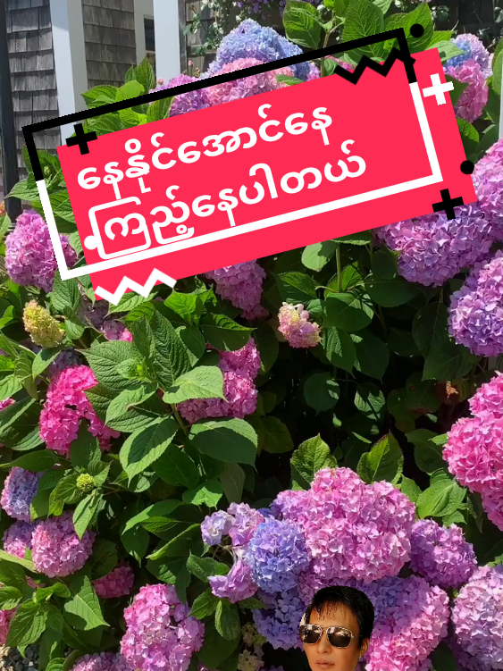 @Min Min