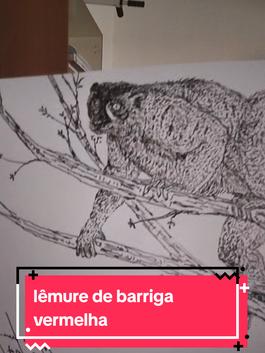 @Afonso Henrique