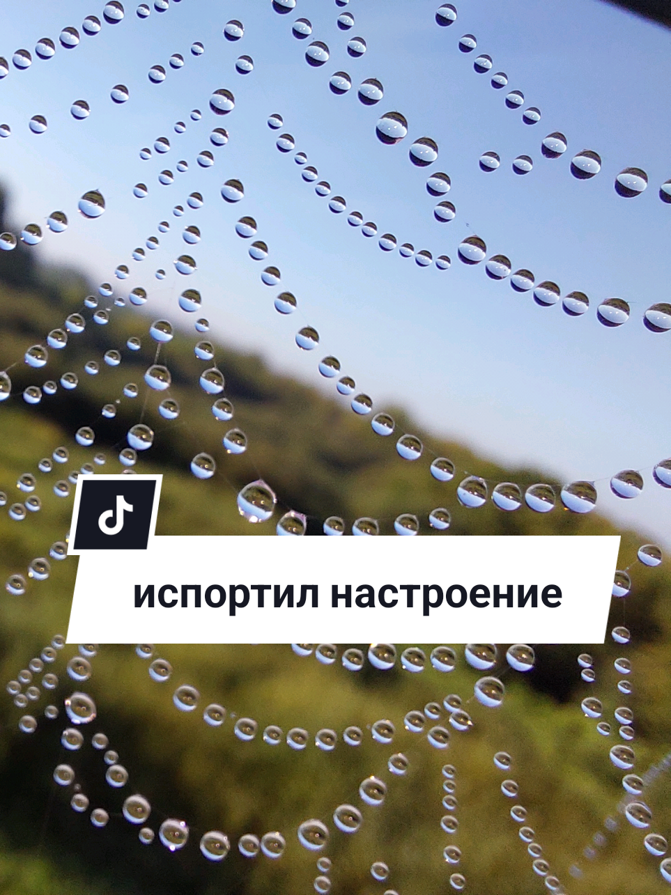 @Рыся✔️🇧🇾