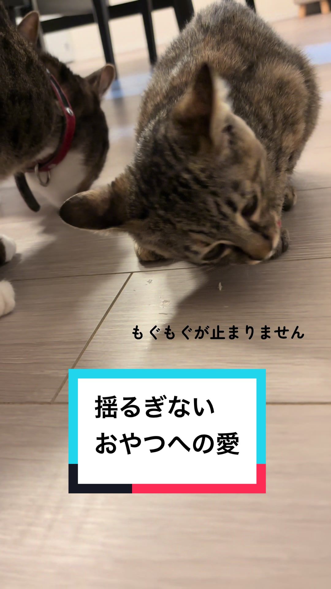 @ルーレオ