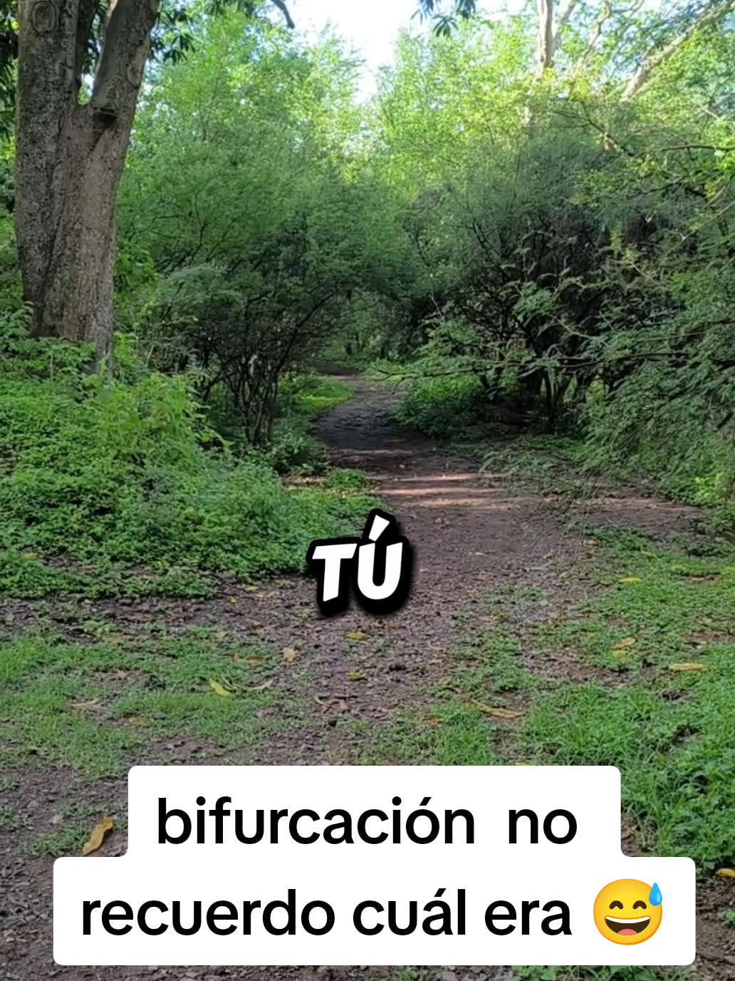 @RA&Uacute;L FL💙