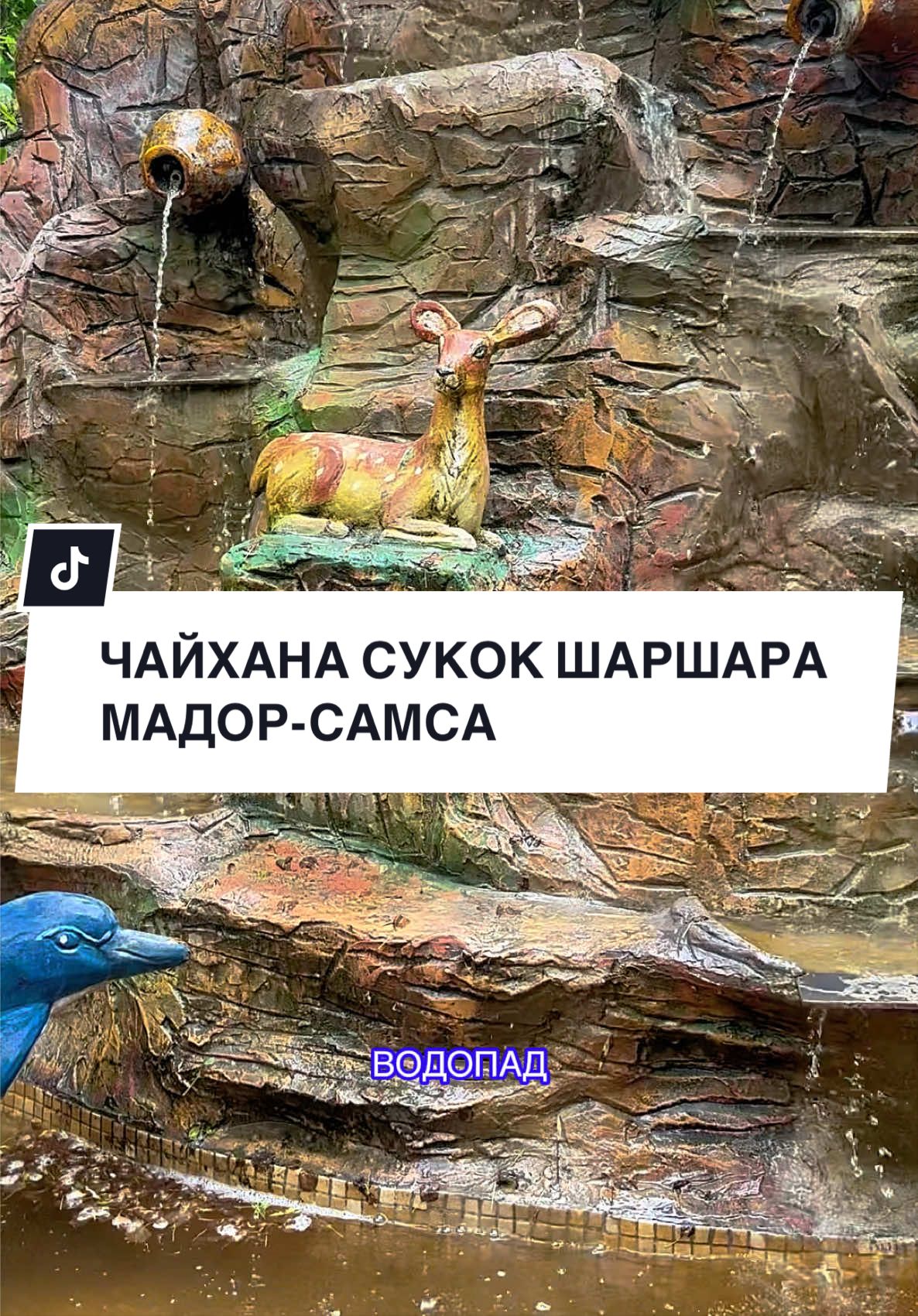 @NASI