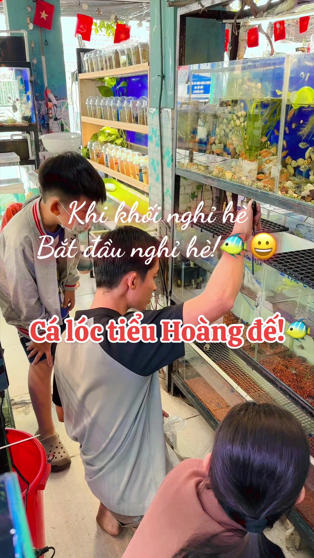 @D&acirc;u T&acirc;y 69