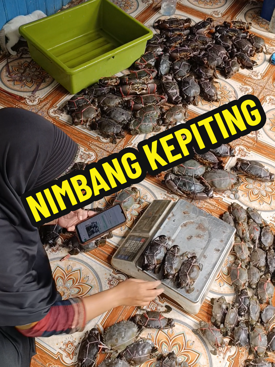 @BOCAHPESISIR33 (a.rohmansyah)
