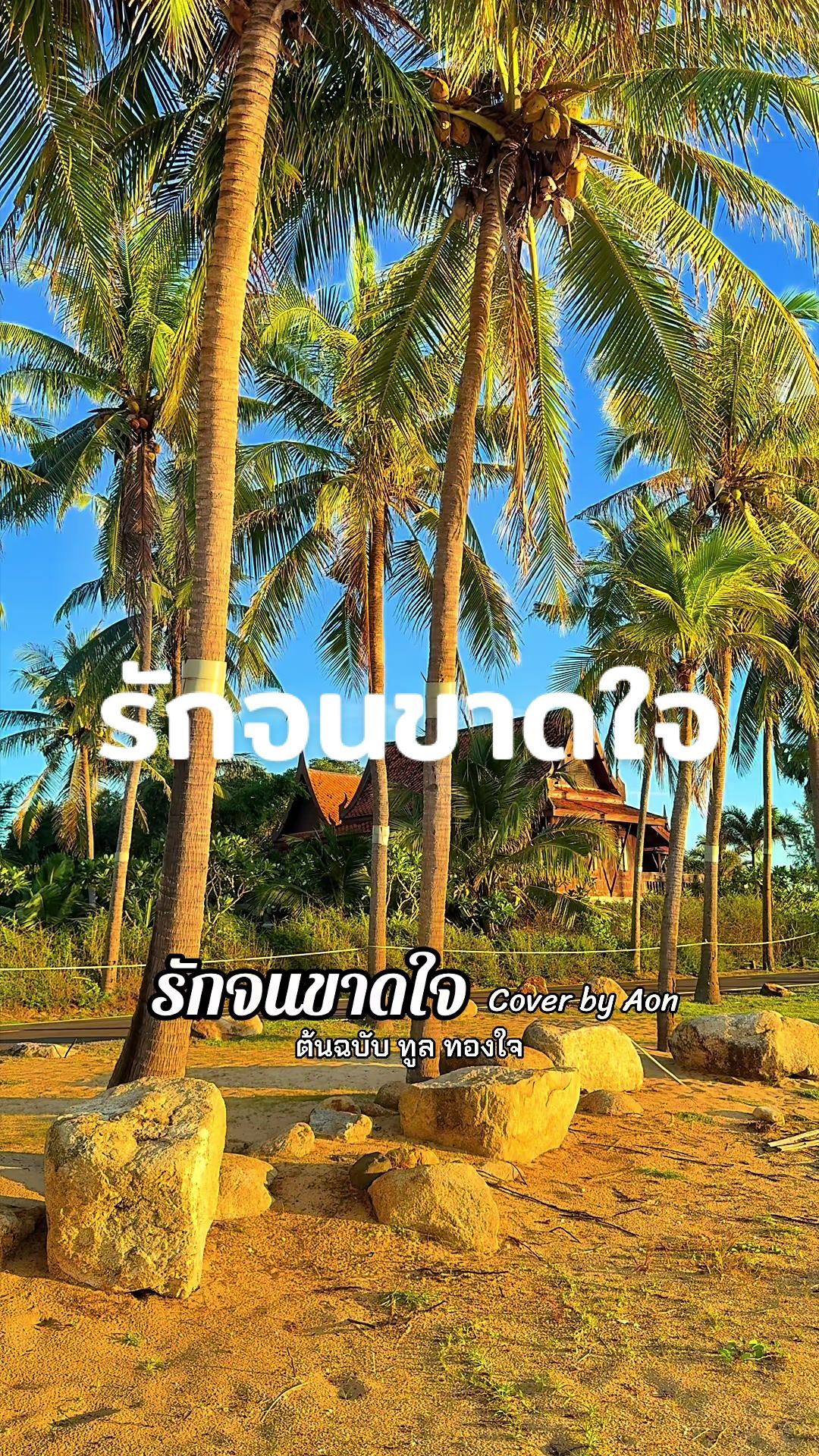 @โก้ Go travel and music