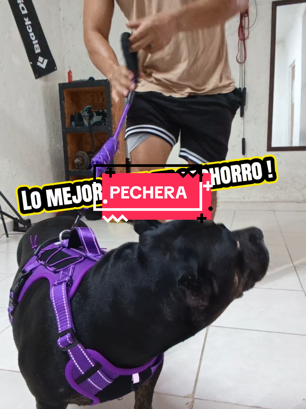 @Mario TBadillo