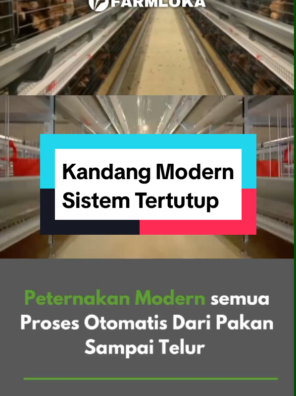 @Farmloka