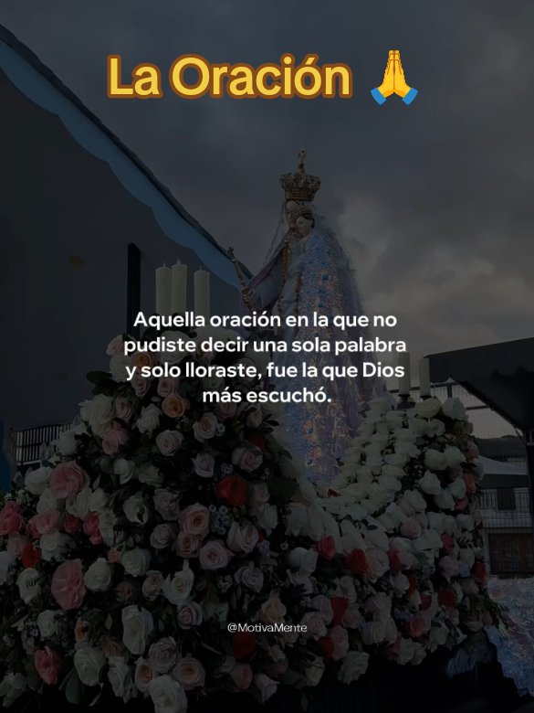@SOLDADO 🇪🇨