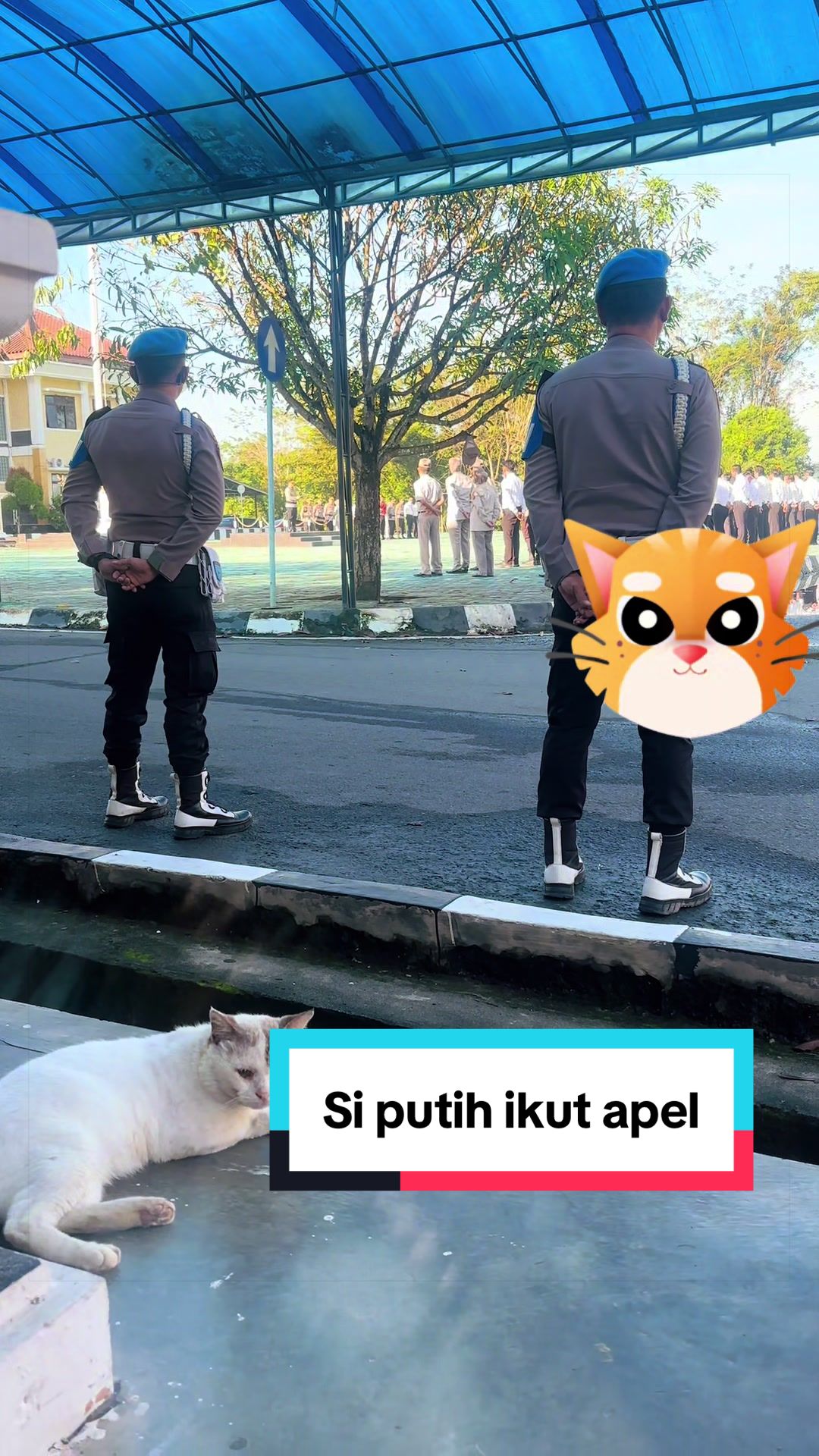@KUMISAN