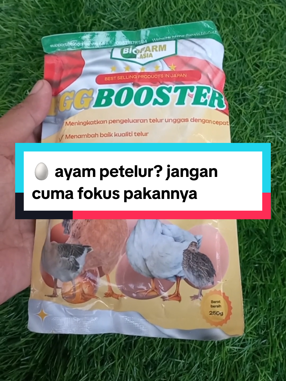 @Nuansatani TV