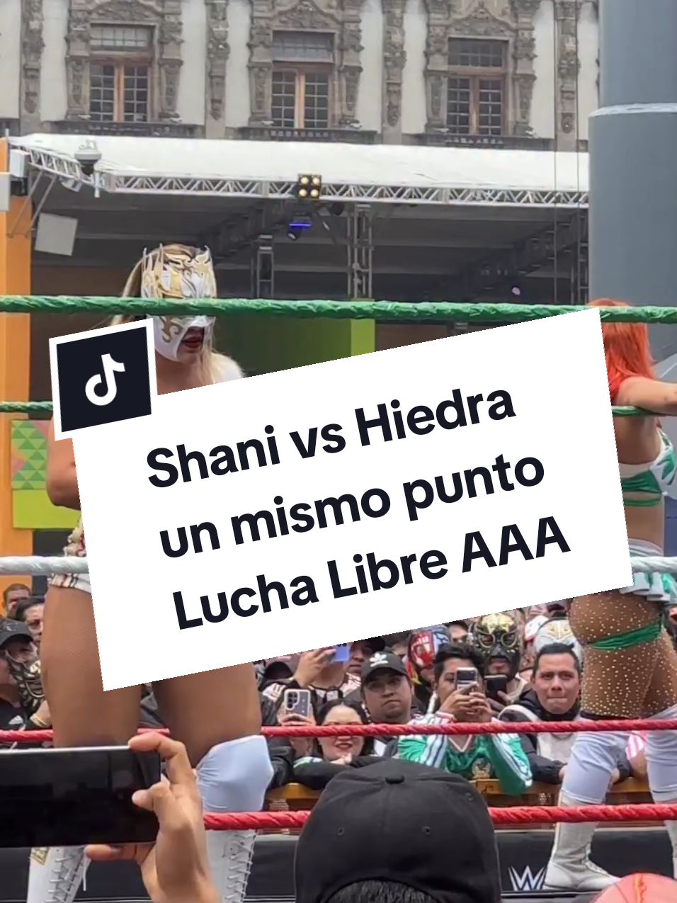 @Damas&Gladiadores Lucha Libre