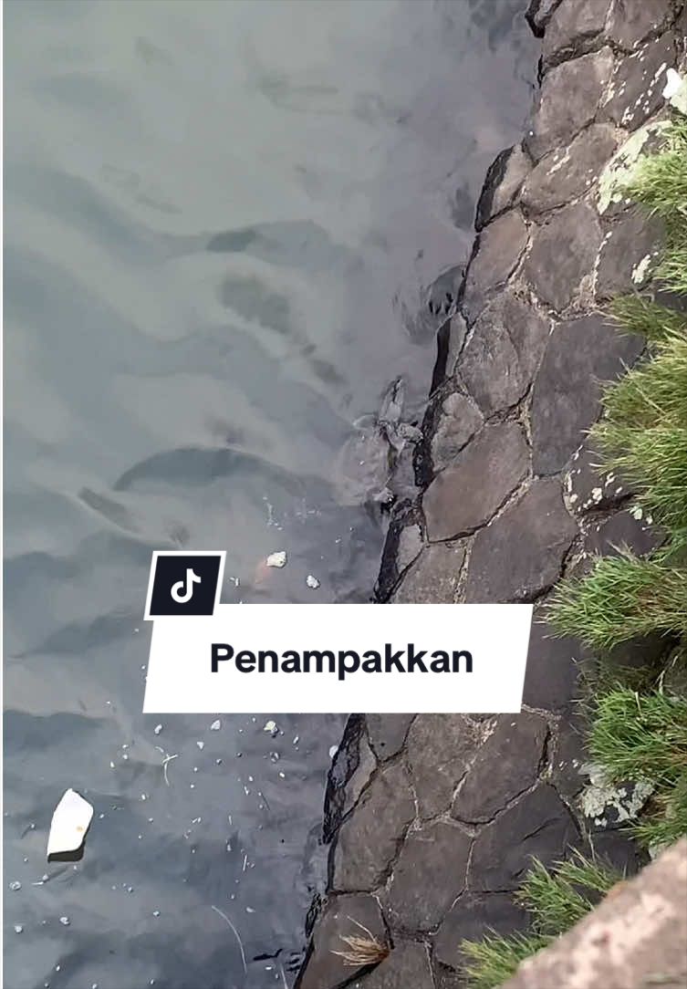 @Bang Fajri 🎣