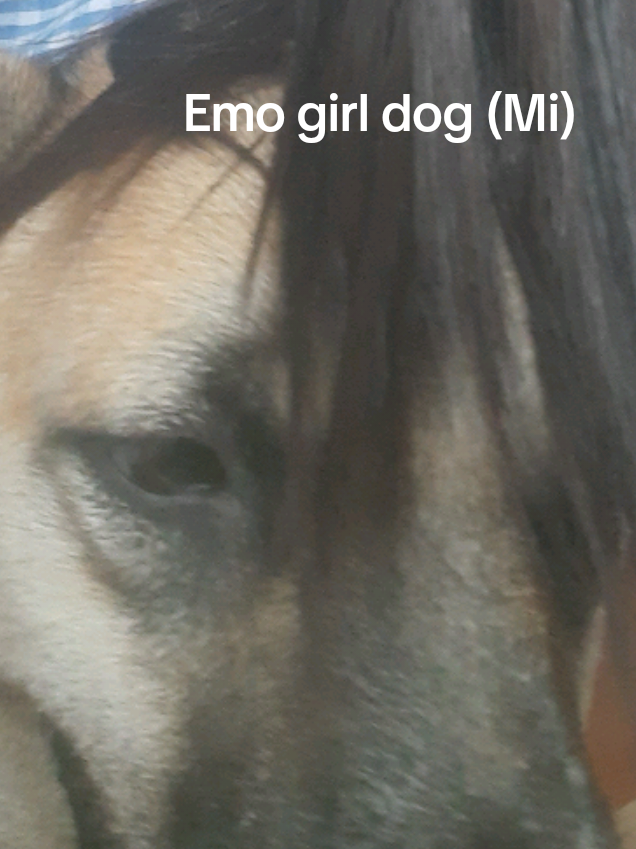 @EstellaStar (Blot's sister)