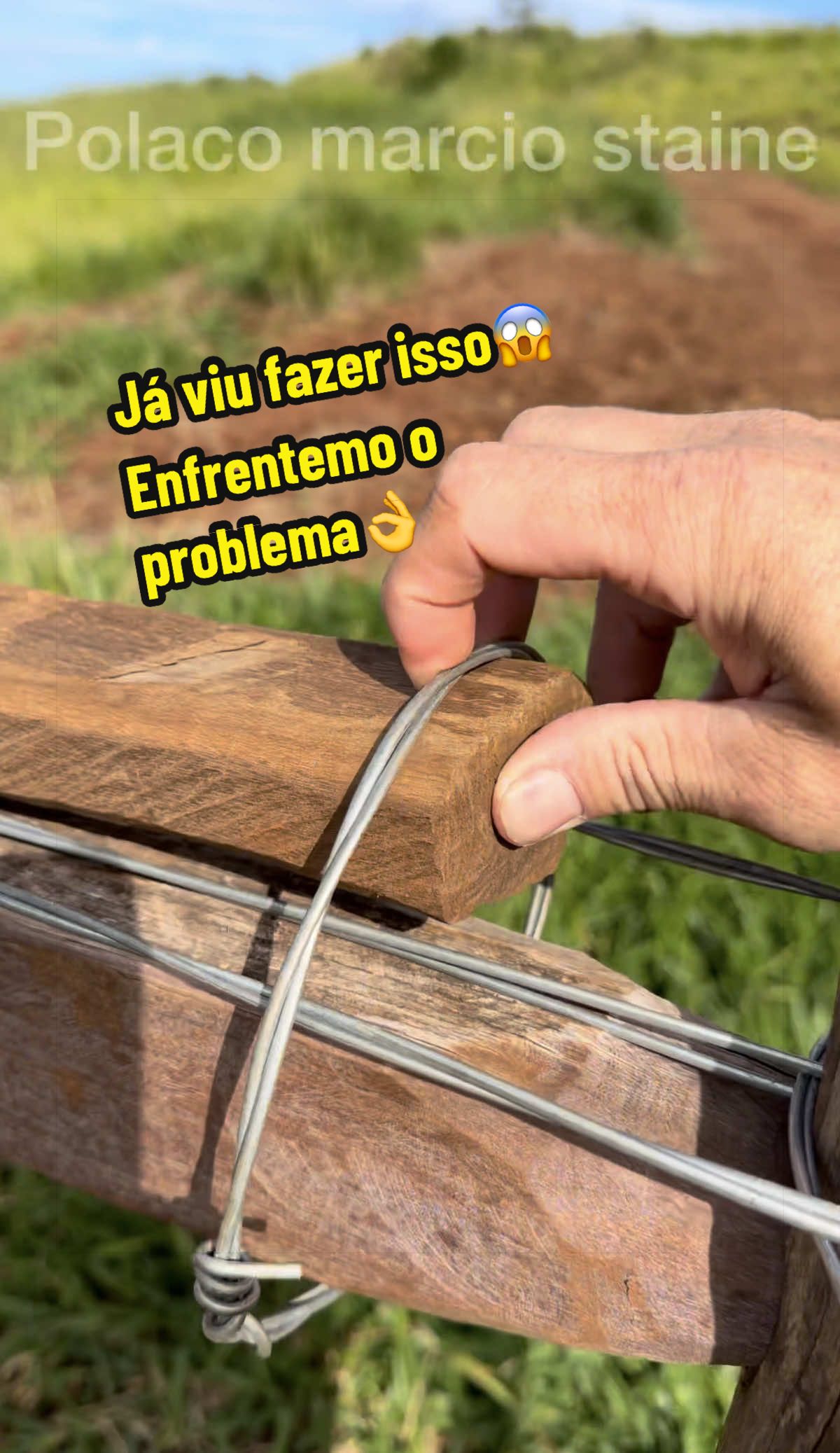 @M&aacute;rcio Staine(polaco)