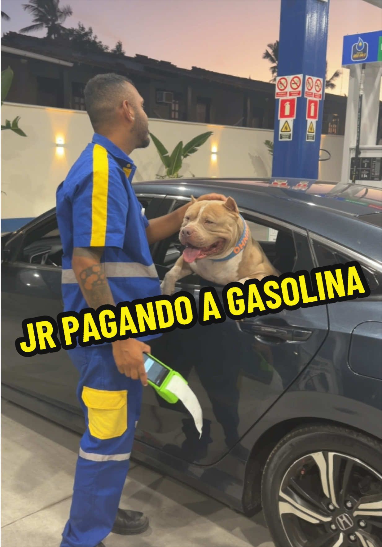 @Família Ragnar 🐶