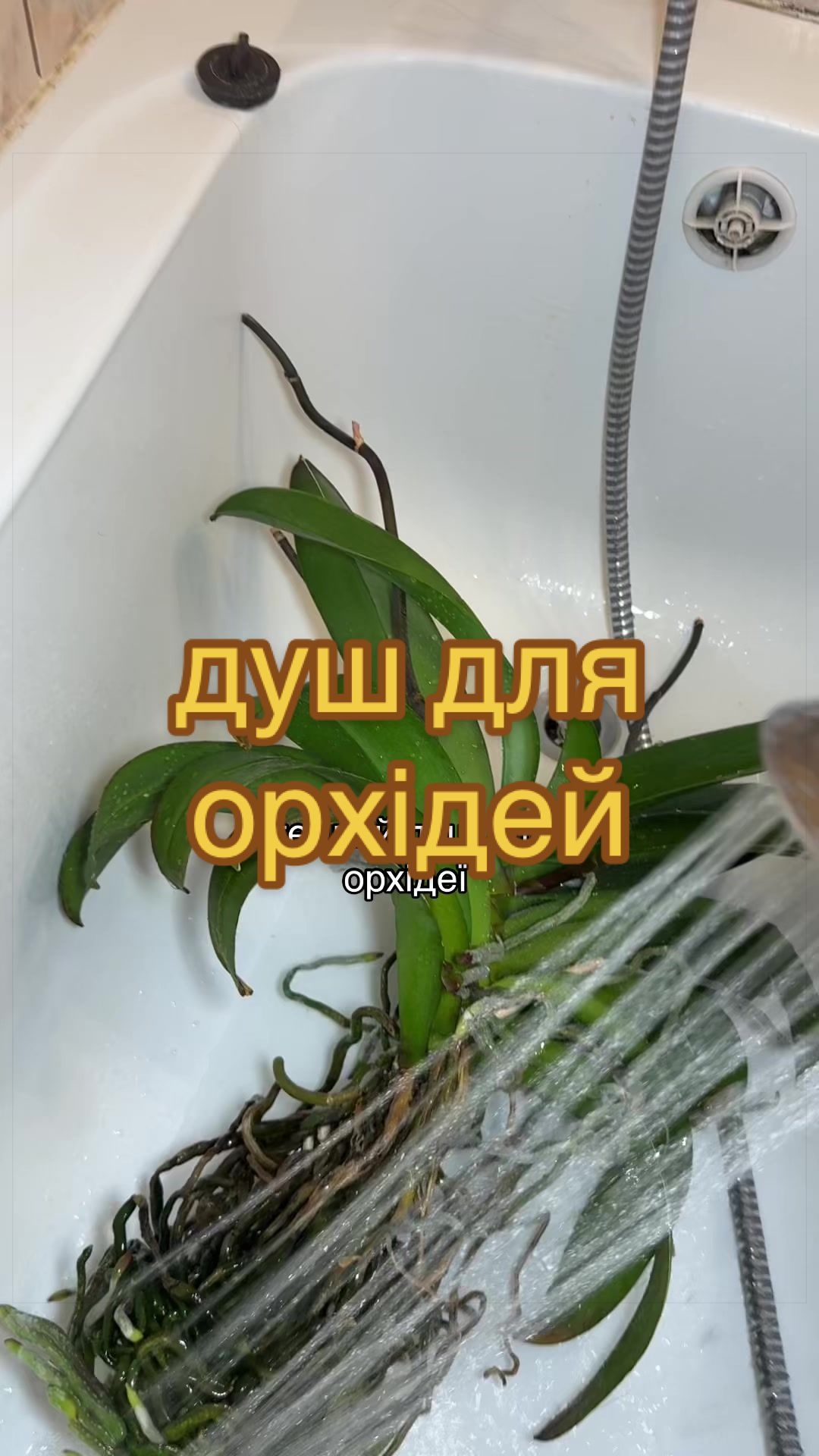 @🧚леся🧚