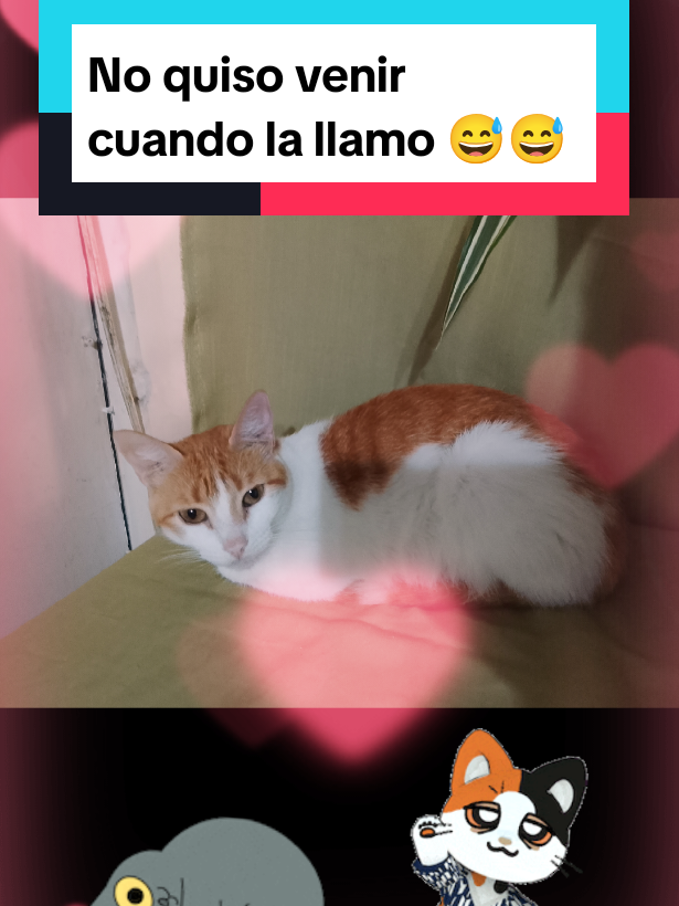 @Helloyuri20🤩