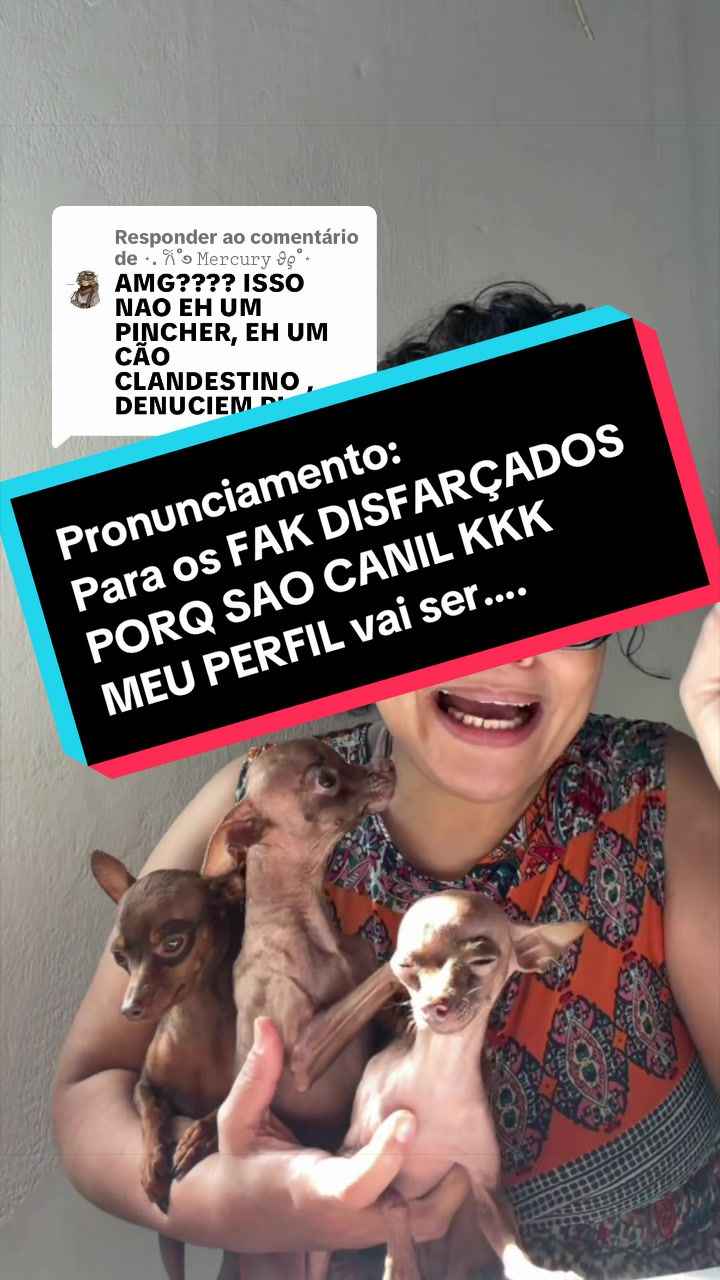 @rozi_pet_micros_oficial