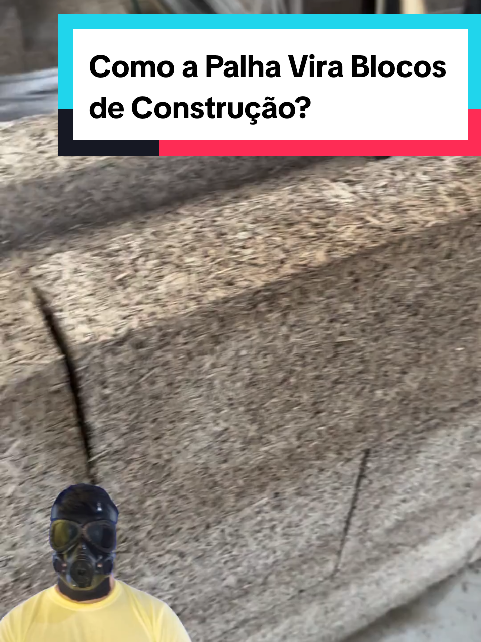 @Mundo da Curiosidades