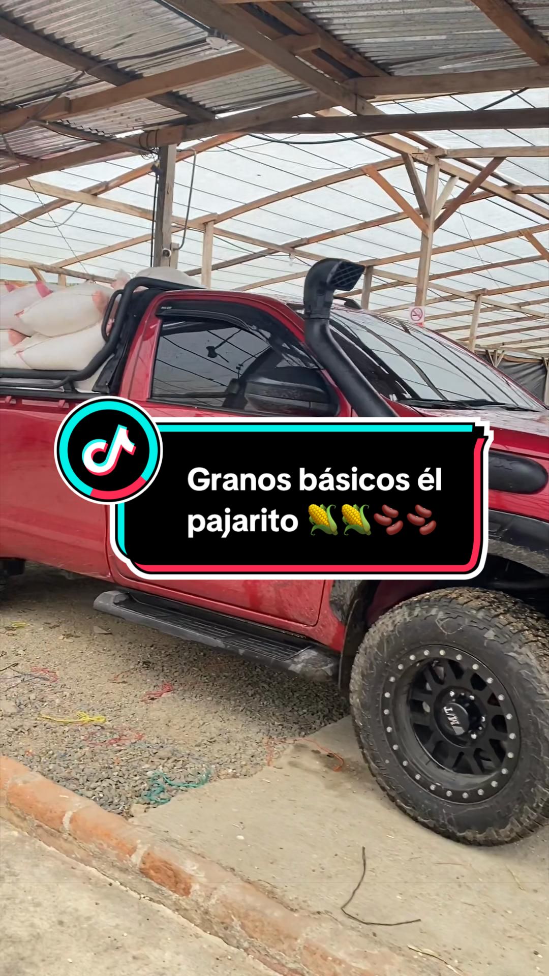 @Granos básicos él pajarito 🌽
