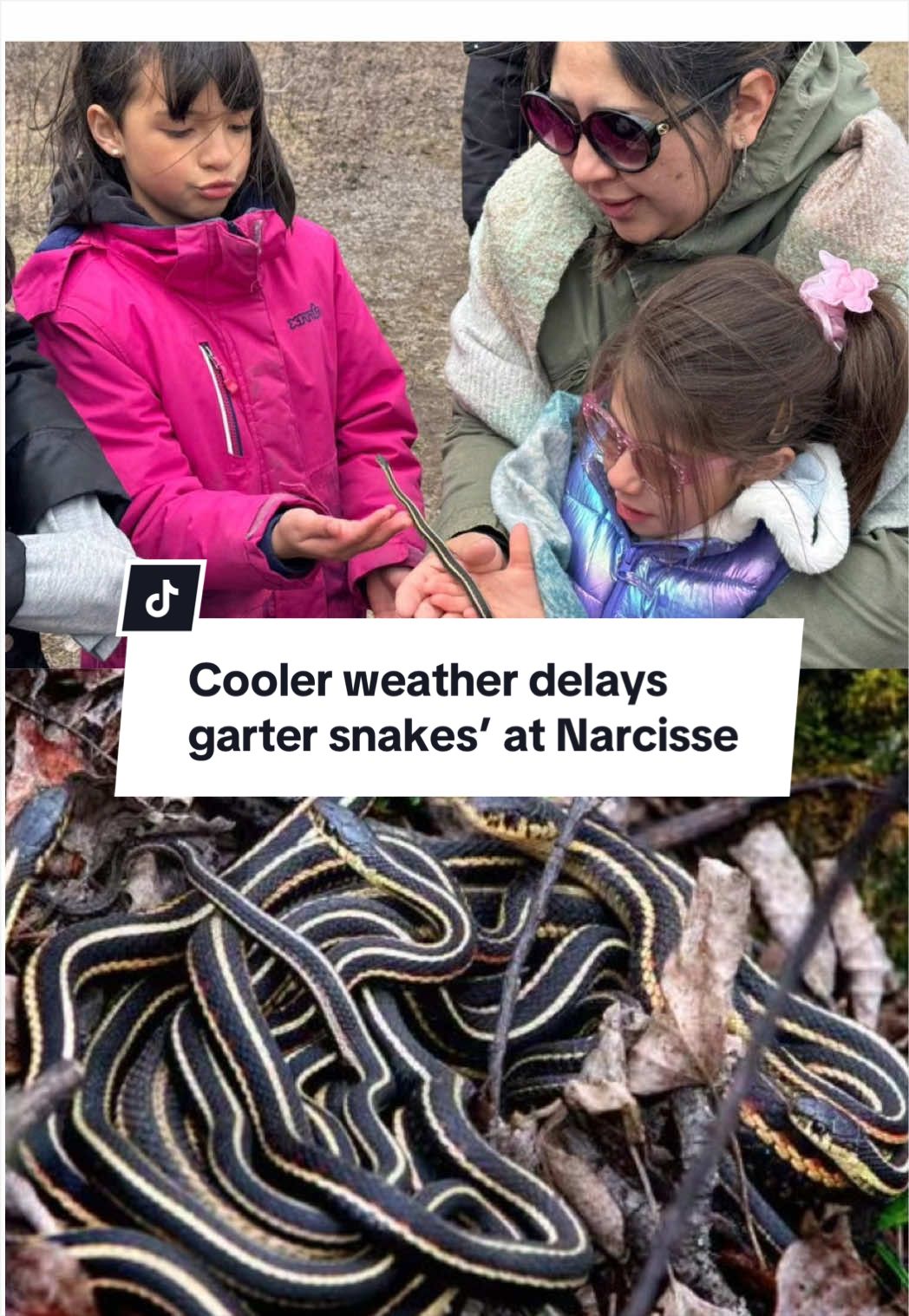 @CBC Manitoba
