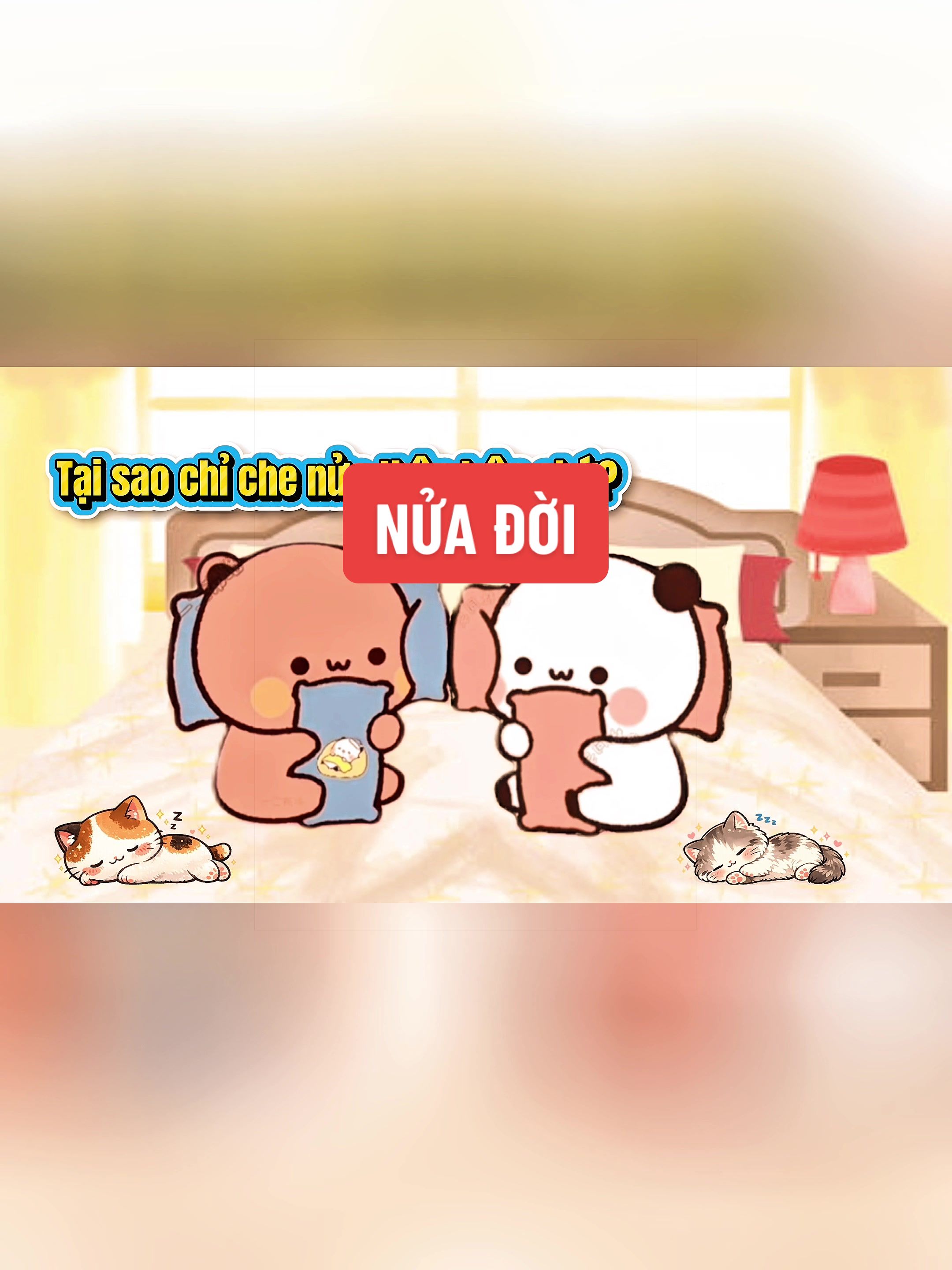 @bubu.dudu.collect