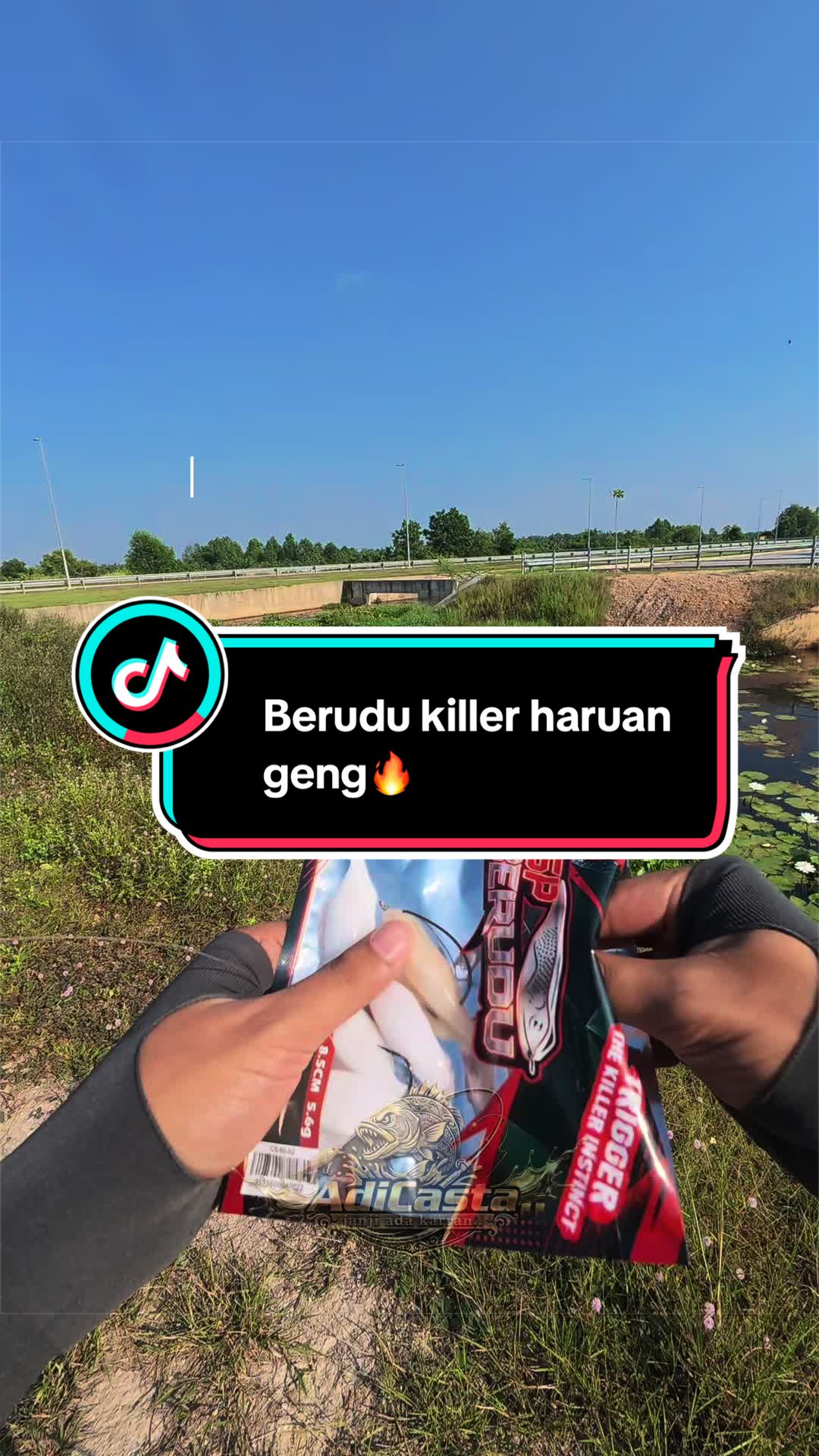 @AdiCasta..