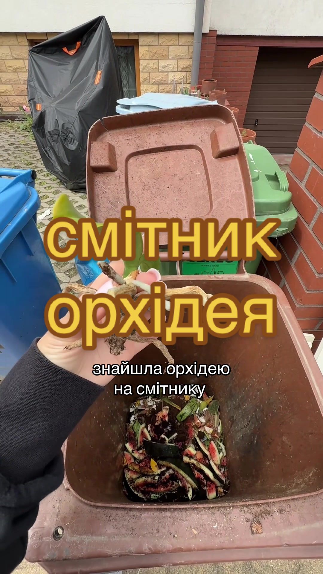 @🧚леся🧚