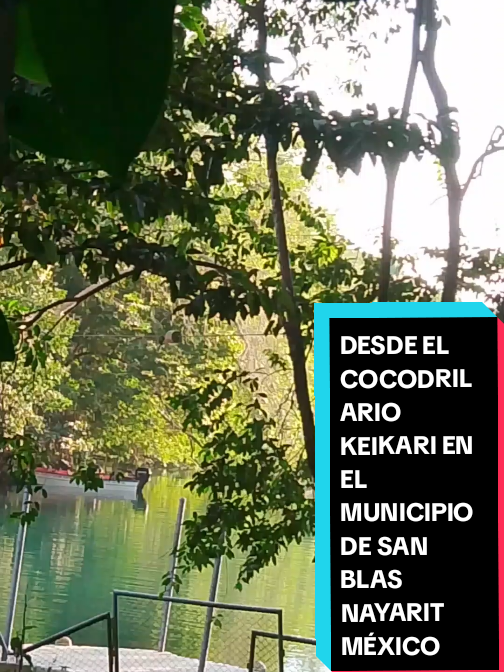 @Eliseo L&oacute;pez